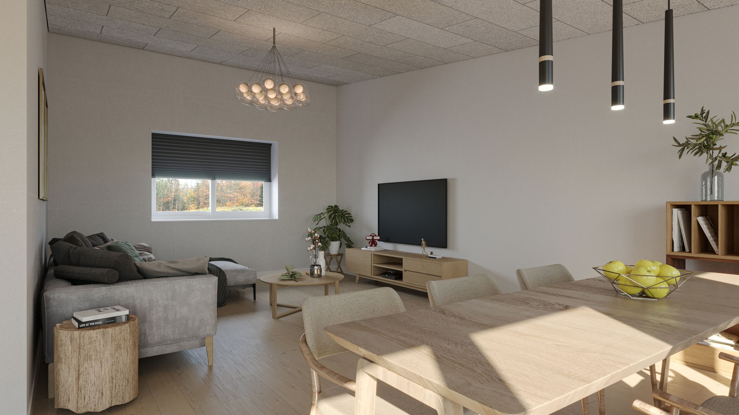Hus – Bjerringbro - Visning 2