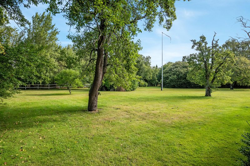 Property image number 6