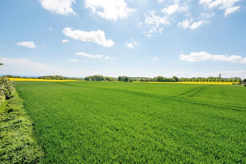 Property image number 5