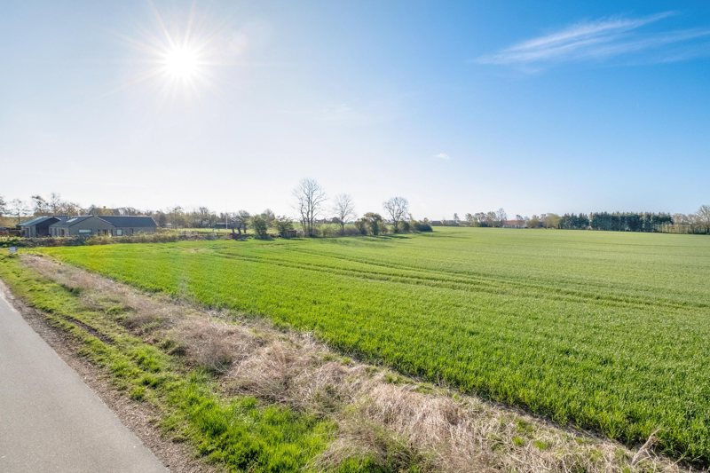 Property image number 4