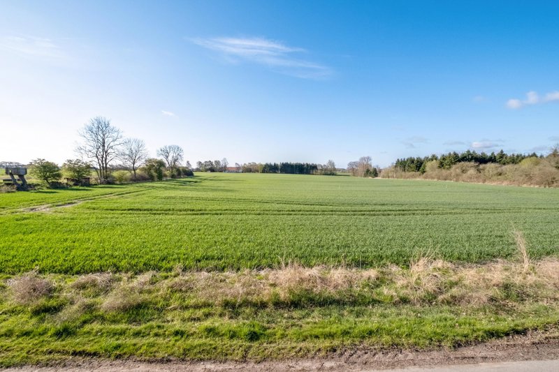Property image number 5