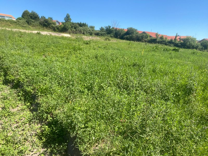 Property image number 8