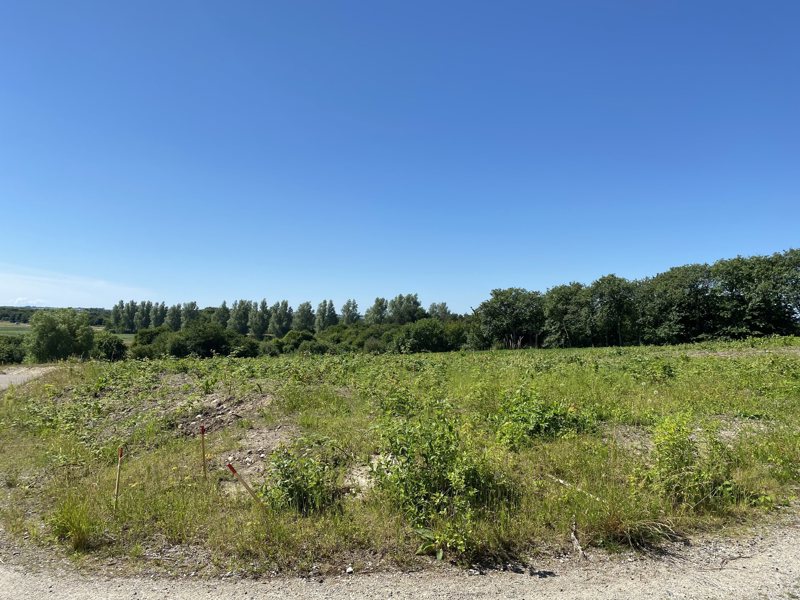 Property image number 4