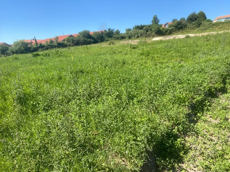 Property image number 3