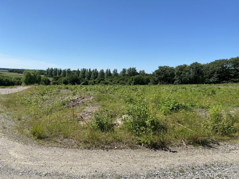 Property image number 9