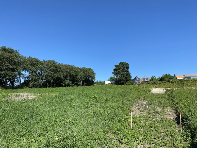 Property image number 4