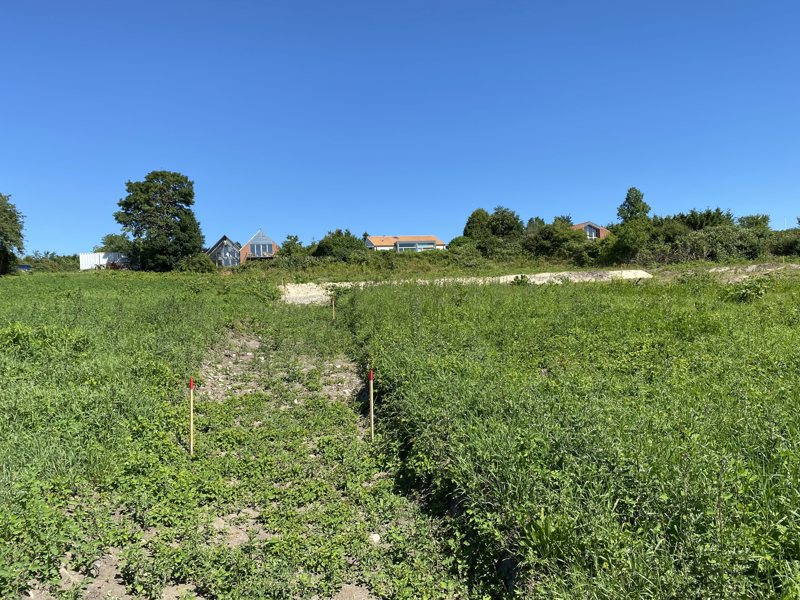 Property image number 1