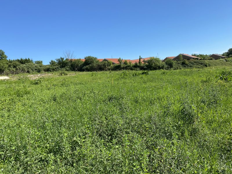 Property image number 6