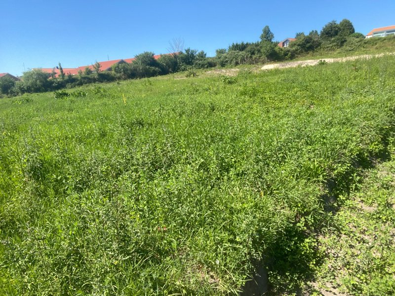 Property image number 3