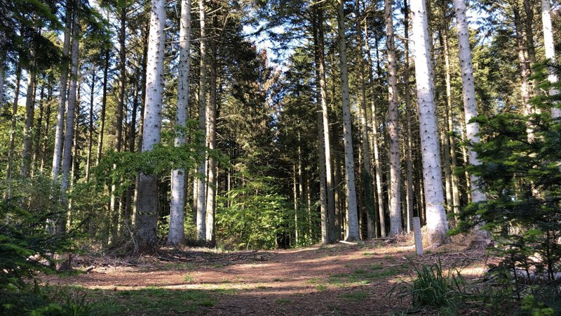 Property image number 6