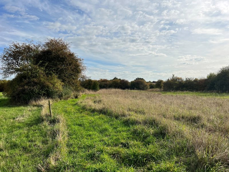 Property image number 5