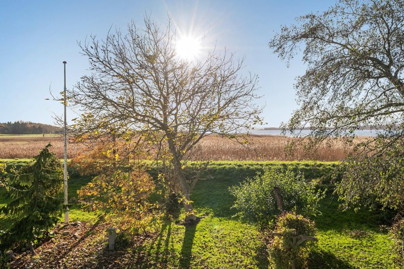 Property image number 4