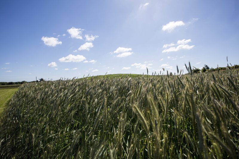 Property image number 7