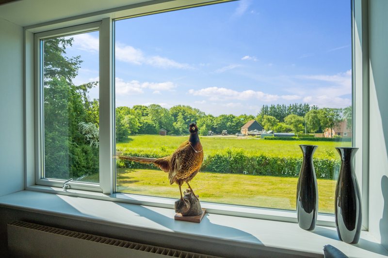 Property image number 3