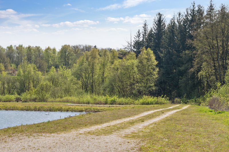 Property image number 7