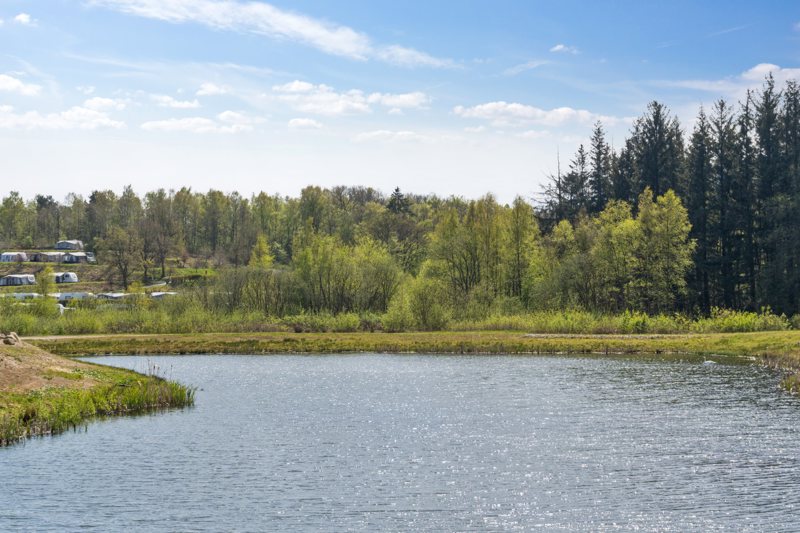 Property image number 6