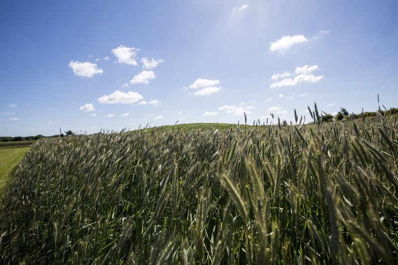Property image number 8