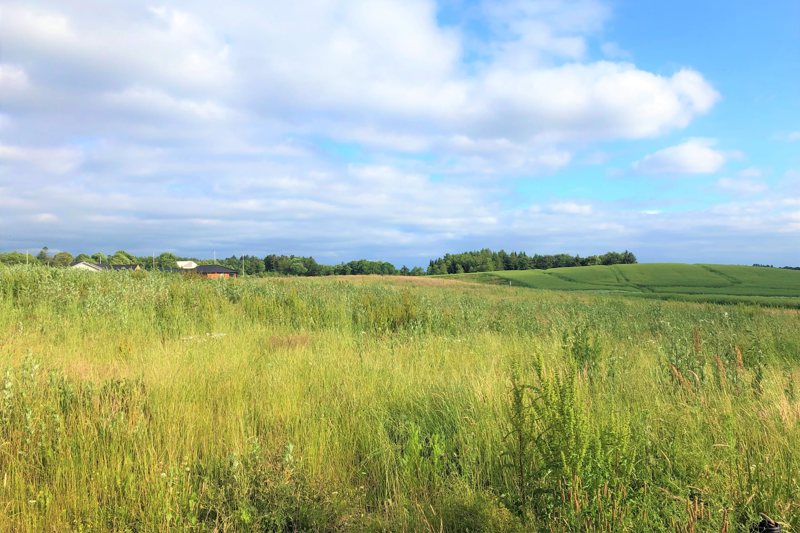 Property image number 4