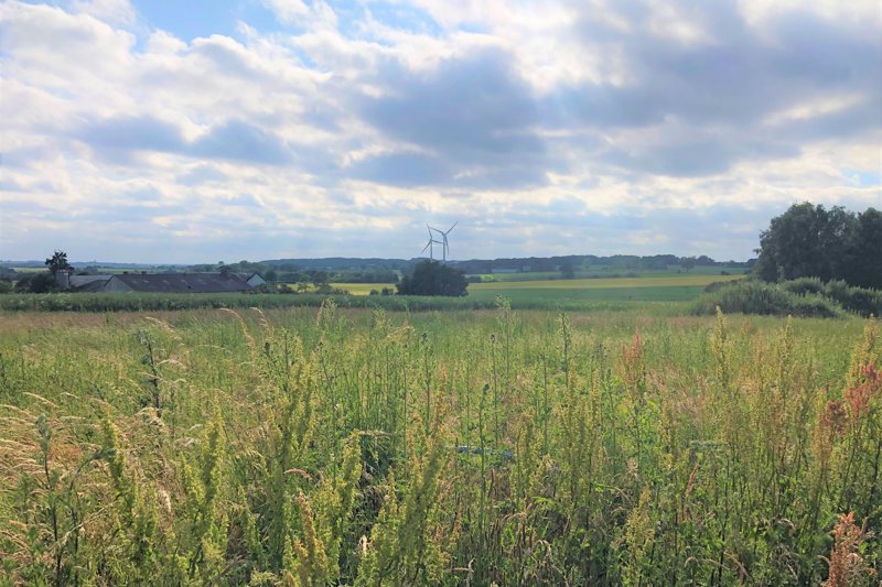 Property image number 10