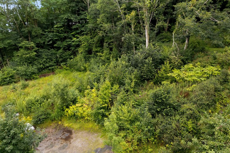 Property image number 9