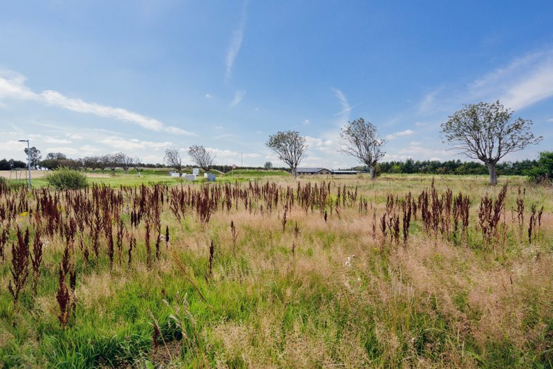 Property image number 5