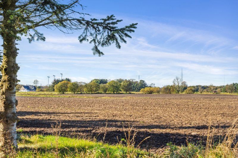 Property image number 3