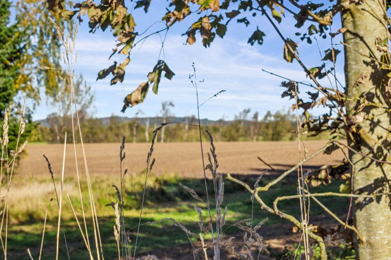 Property image number 6