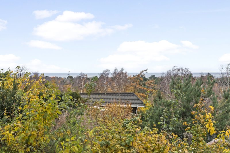 Property image number 5