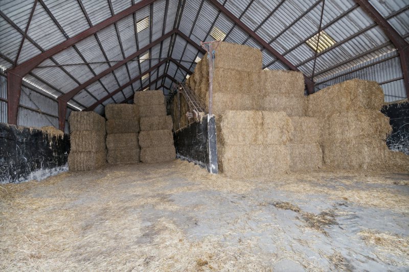 Property image number 4