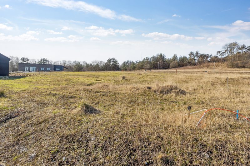 Property image number 5