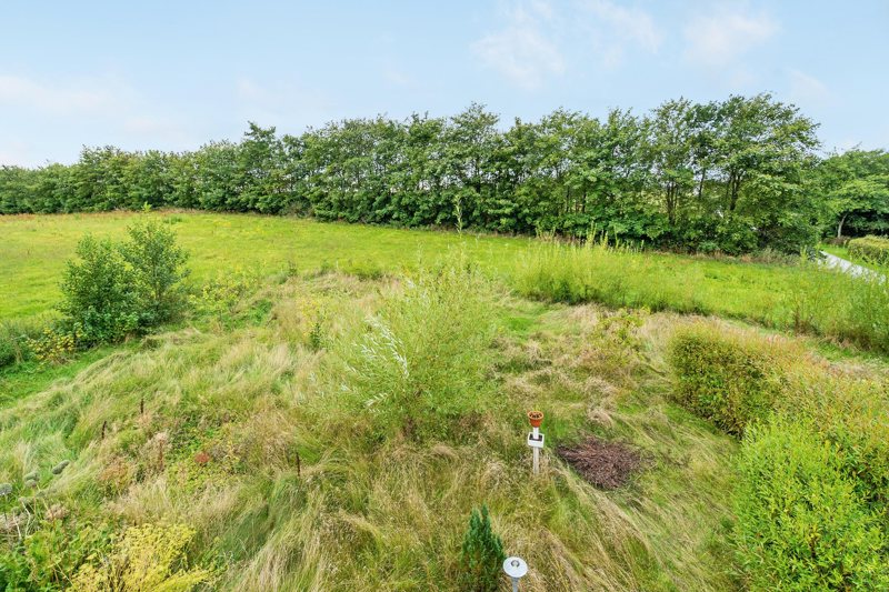 Property image number 5
