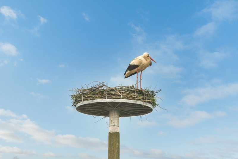 Property image number 4