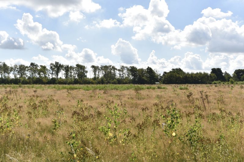 Property image number 8