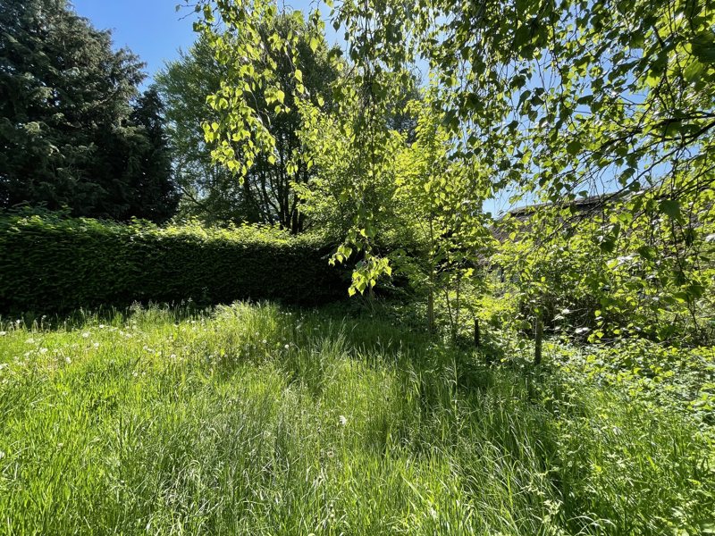 Property image number 8
