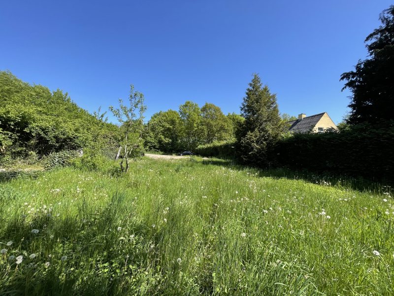 Property image number 4