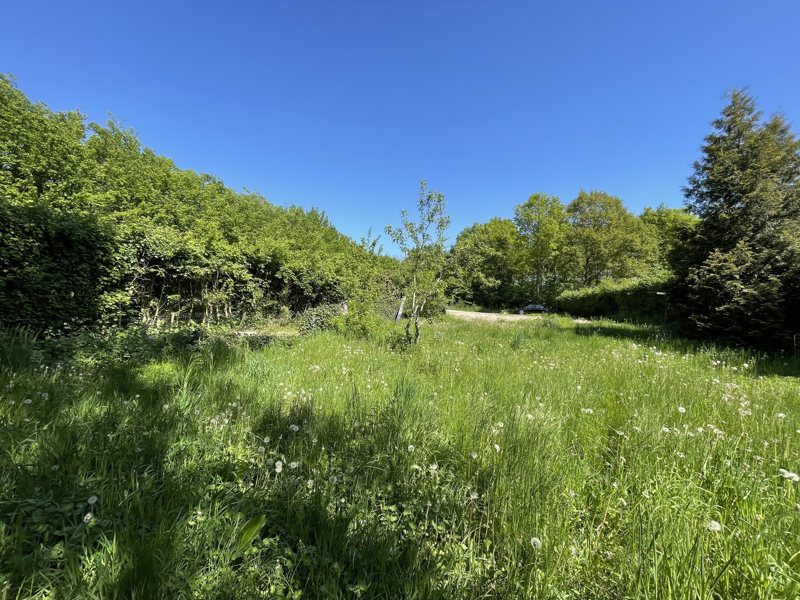 Property image number 11