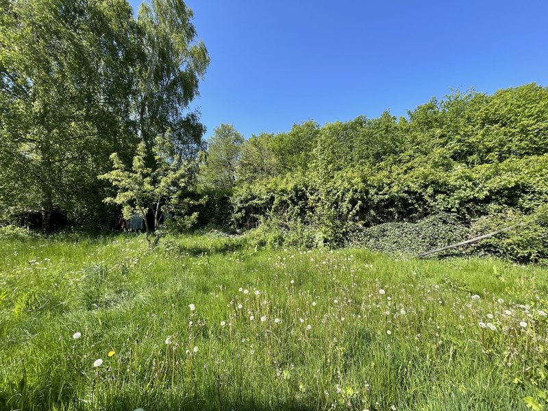 Property image number 7