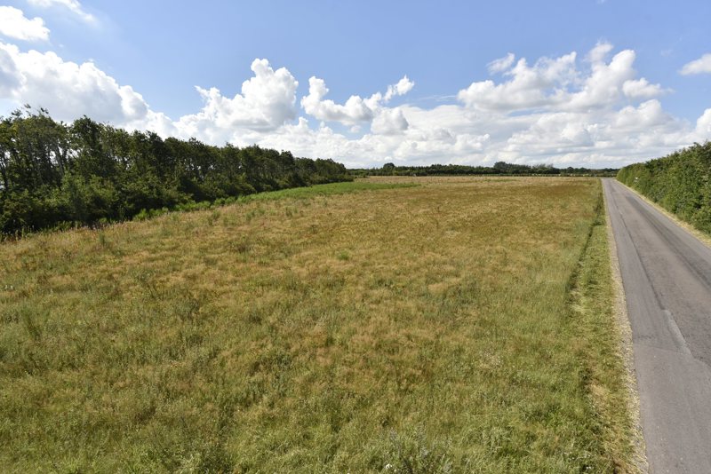 Property image number 3