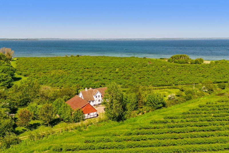 Property image number 1