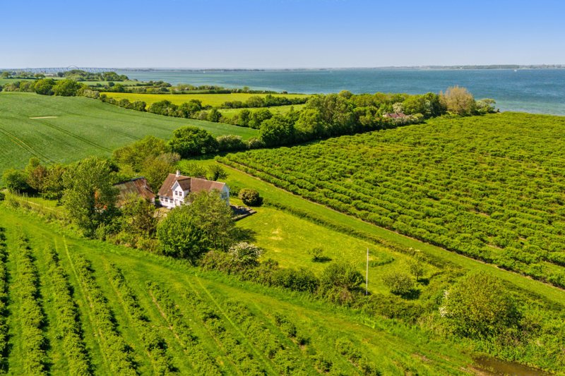 Property image number 5