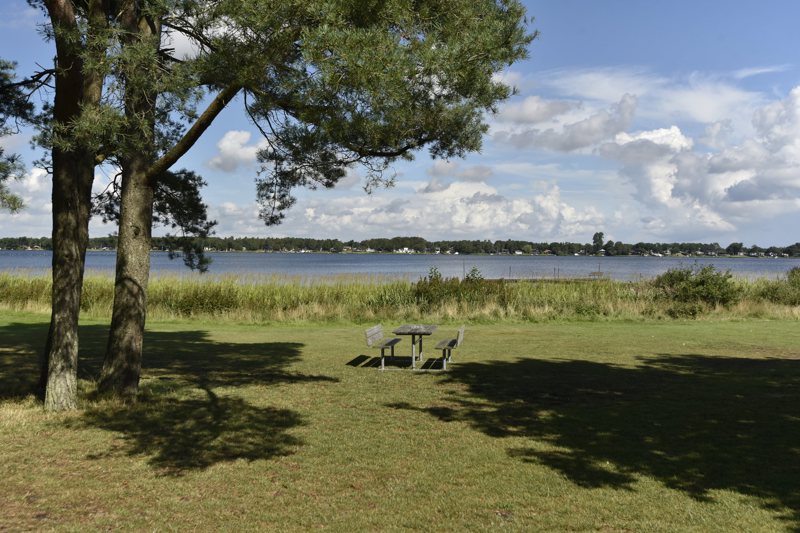 Property image number 6