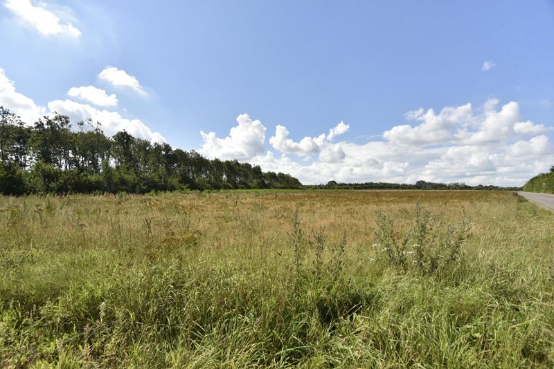 Property image number 2