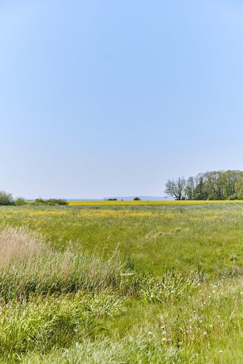 Property image number 9