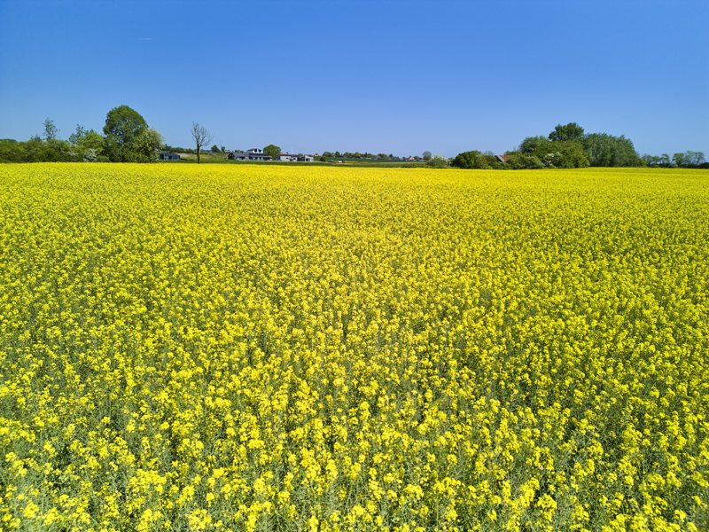 Property image number 10