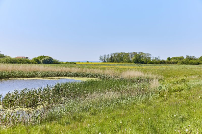 Property image number 10