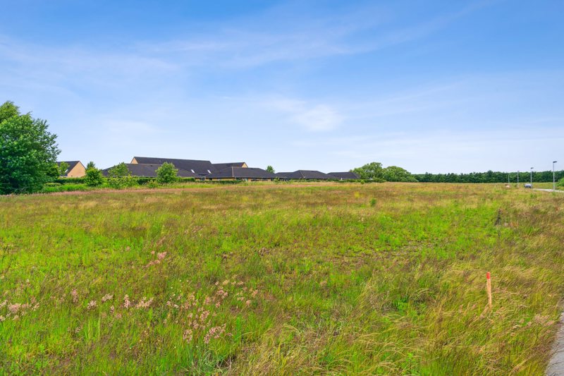 Property image number 7