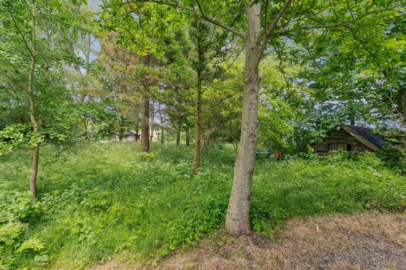 Property image number 3