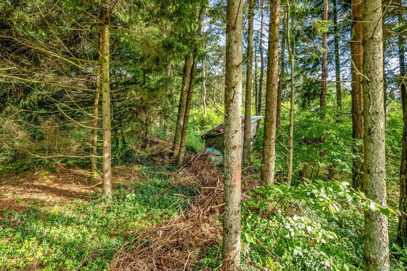 Property image number 8