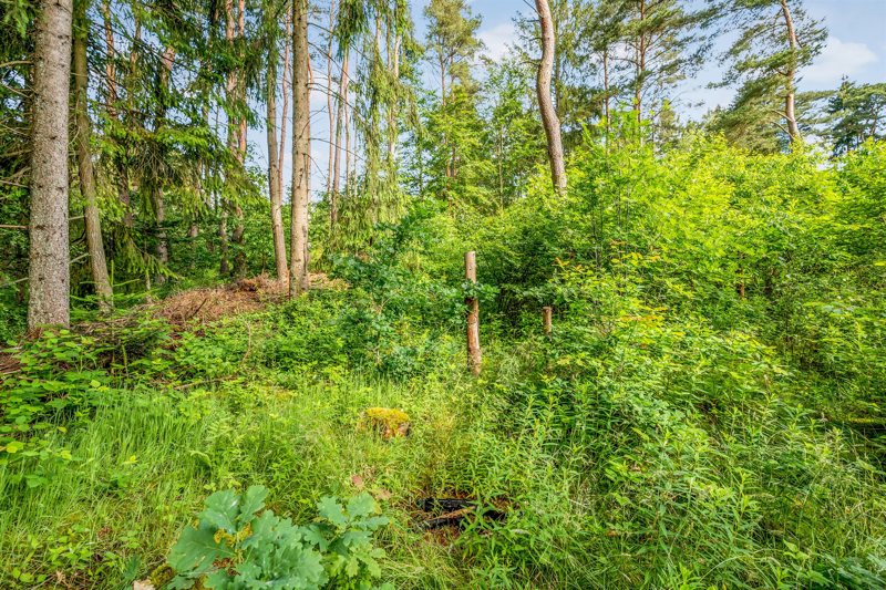 Property image number 5