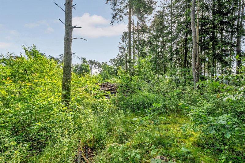 Property image number 6